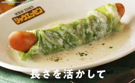 定期便【3ケ月連続お届け】シャウエッセン　スペシャルロングセット