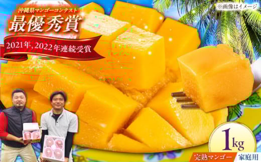 【家庭用】仲村農園の完熟アップルマンゴー 1kg マンゴー 沖縄 果物 フルーツ ギフト 沖縄市 / 仲村農園 [BCCU004]