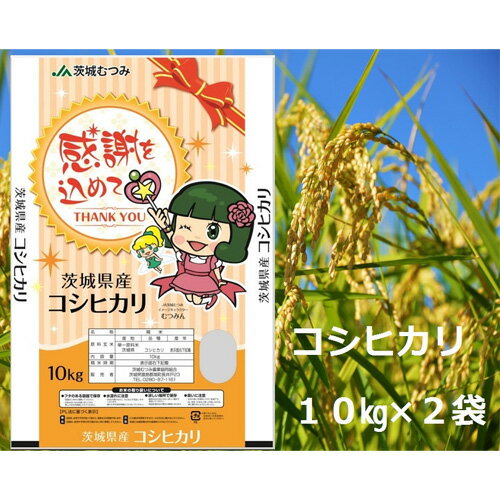 【ふるさと納税】【令和7年産】茨城県産コシヒカリ20kg（10kg×2袋）精米 JA茨城むつみ ／ こしひかり 令和7年 新米 米 お米 おこめ こめ コメ 精米 白米 ご飯 国産米 20kg 20キロ おいしい お取り寄せ 産地直送 産直 坂東市産 茨城県産 茨城産 送料無料 茨城県 No.180
