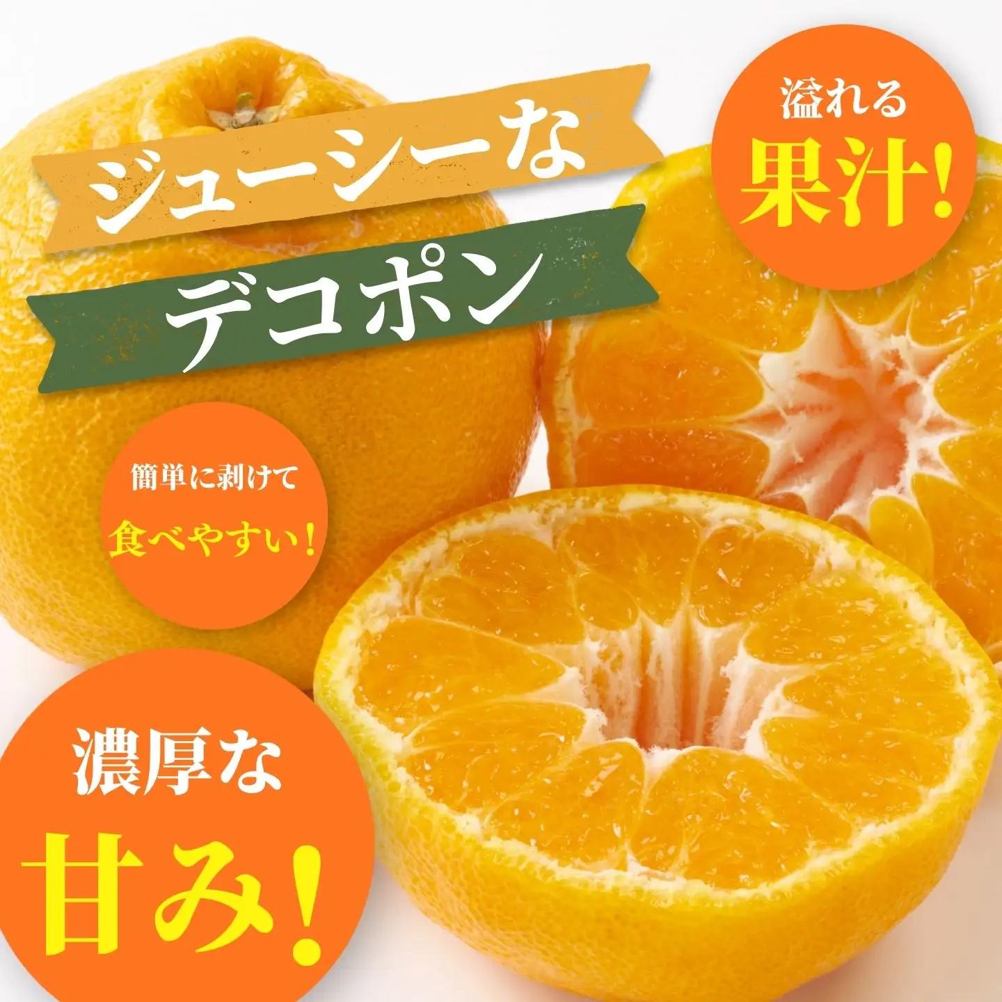 デコポン 佐賀みかん デコポン不知火 B195-006