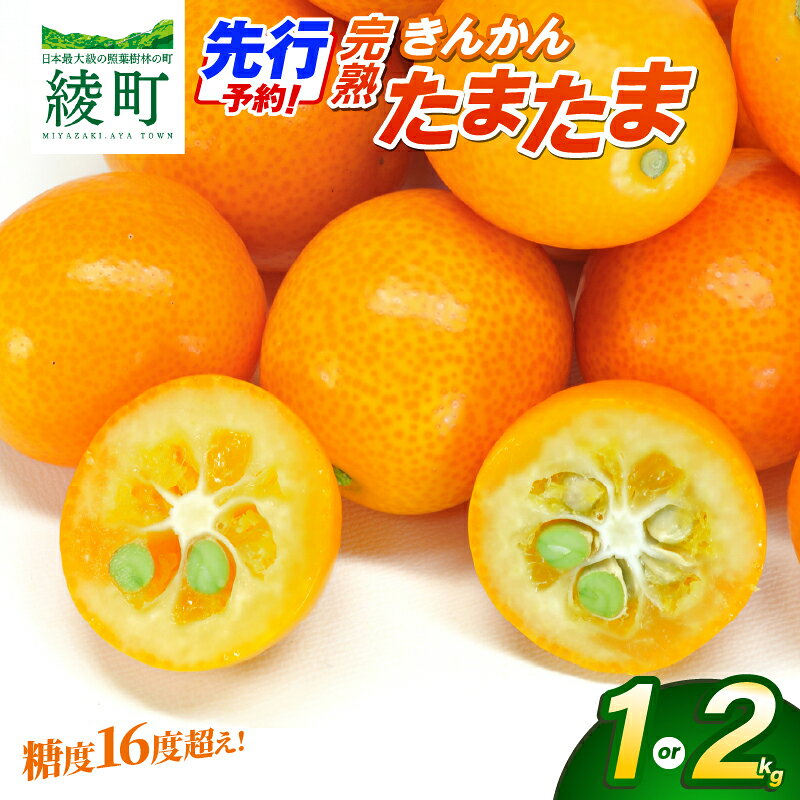 【ふるさと納税】先行予約 《選べる内容量》 完熟きんかん 「たまたま」 1kg 2kg 果物 フルーツ くだもの 柑橘 金柑 おすすめ ブランド 化粧箱 ギフト 贈り物 贈答 プレゼント おすそ分け おやつ スイーツ デザート 大きい 糖度が高い 常温 産地直送 宮崎県 綾町 送料無料