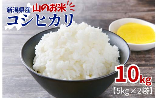 山のお米　新潟県産コシヒカリ精米10kg（5kg×2袋）