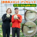 【ふるさと納税】【赤肉系メロン】プリモレッド×2玉（1玉2kg前後×2玉）※離島への配送不可　※2024年9月下旬～11月上旬頃に順次発送予定