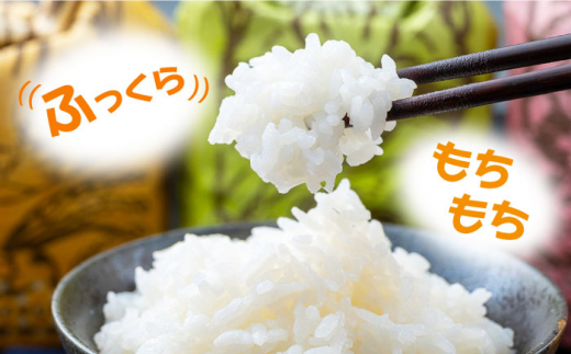 【令和6年産 新米 予約受付中】佐護 ツシマヤマネコ 米 みつめるにゃんBOX ダブル セット【24年10月以降順次発送】《対馬市》【一般社団法人MIT】玄米 対馬 精米 減農薬 猫 ギフト [WAP