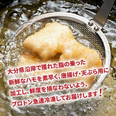 ふるさと納税 国東市 揚げたてが美味!豊後ハモの唐揚げ&天ぷら/0.5kg_0275N |  | 01