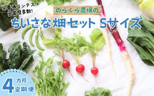 【先行受付・2025年発送】定期便4カ月　有機野菜ちいさな畑セット（Sサイズ　１～２人前）（NK-T520）