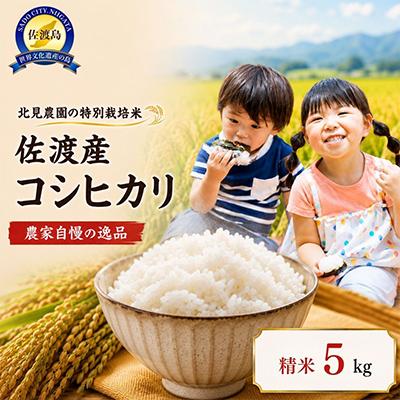 ふるさと納税 佐渡市 【先行受付・数量限定】令和8年産　特別栽培米佐渡産コシヒカリ　農家直送北見農園自慢の逸品　精米5kg