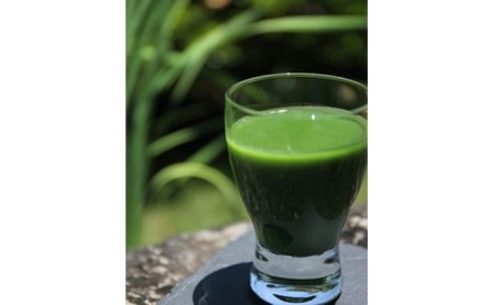 【無添加青汁】乳酸菌青汁400（3g×30包）