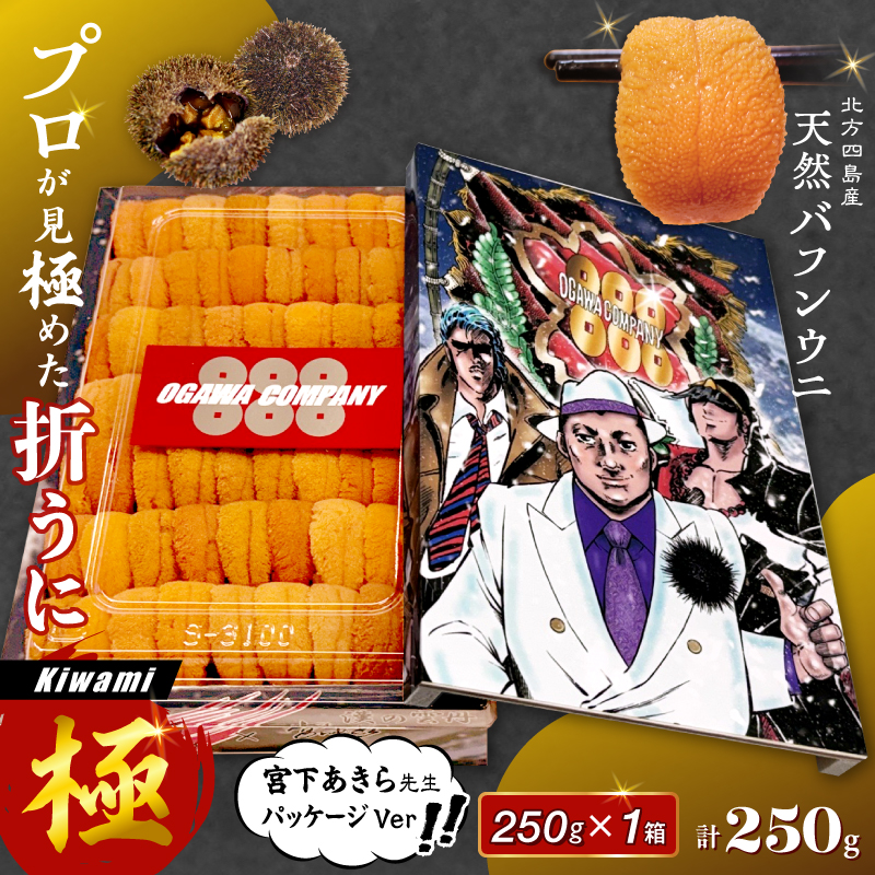 ≪プロ厳選≫最高級折うに(極)宮下あきら先生パッケージVer計250g うに ウニ 雲丹 折うに 海鮮 海産物 北海道 浜中町 ふるさと納税 人気_H0014-123