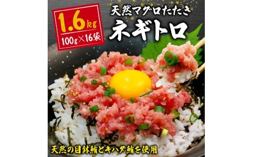 【クラファン支援対象返礼品！】【2025年8月発送】 訳あり ネギトロ まぐろ 約1,6kg 16袋 100g × 16パック 小分けパック ねぎとろ 鮪 たたき 魚 魚介 新鮮 天然 目鉢 マグロ キハダ 冷凍 すきみ 鮪のタタキ 寿司 すし 手巻き寿司 人気 おすすめ 送料無料 静岡県 藤枝