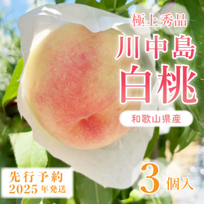 先行受付!　【川中島白桃】大玉特秀品　食べきりやすい3個入り　こだわり農家厳選!【配送不可地域：離島】【1525341】