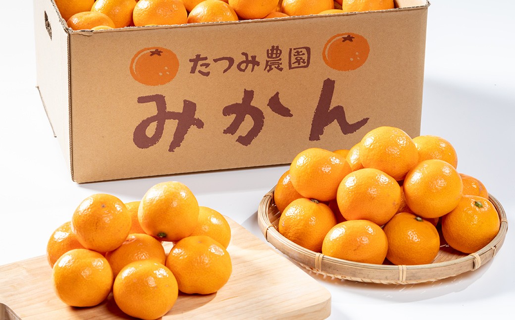 辰見農園の完熟みかん（小玉）５kg
