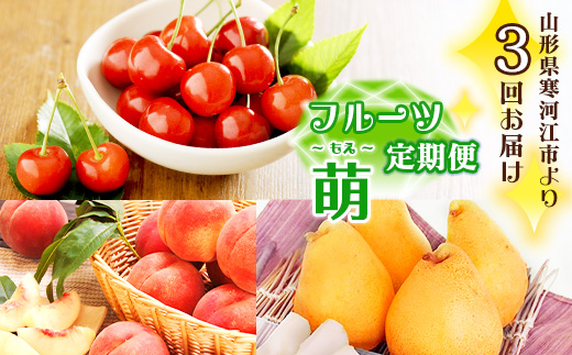 《先行予約》3回定期便 令和7年産「フルーツ 定期便 萌（もえ）」【2025年6月上旬頃から発送開始予定】 2025年産　037-B-MM066