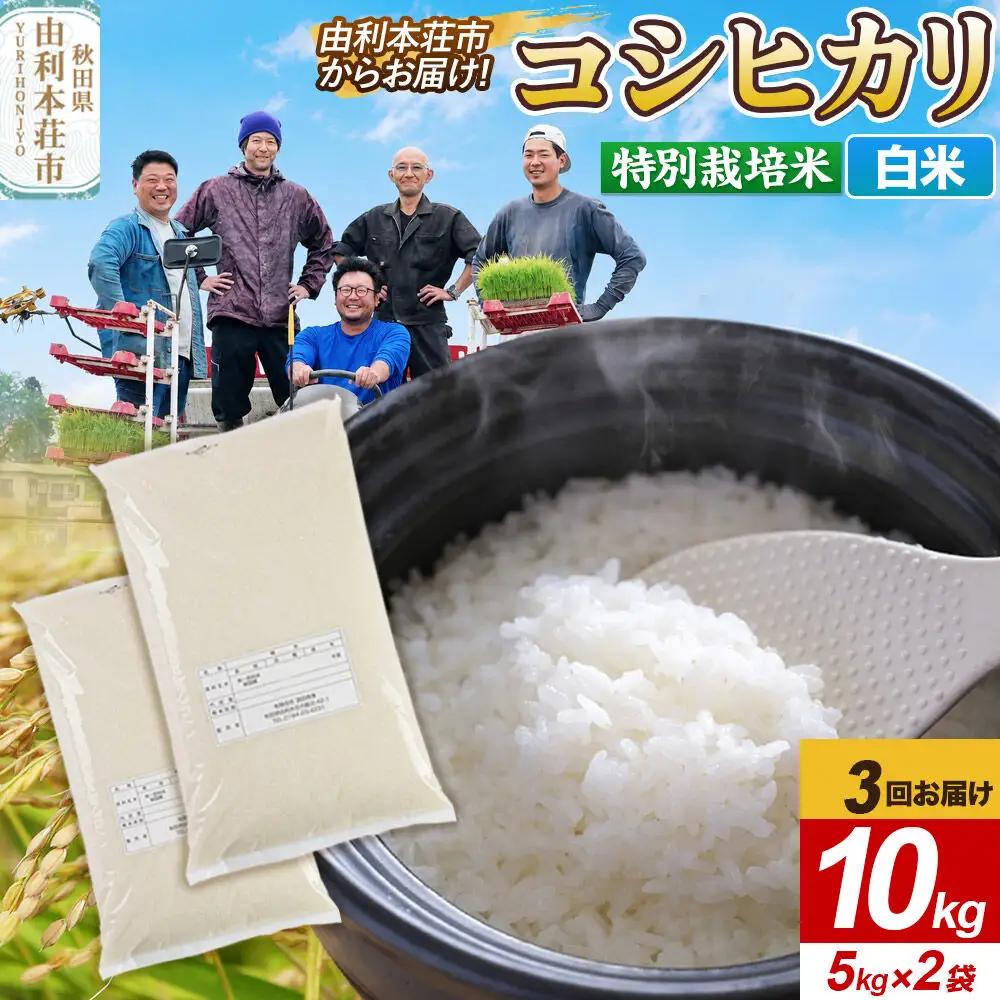 《定期便3ヶ月》令和7年産【白米】特別栽培米 コシヒカリ 10kg（5kg×2袋） 秋田県産