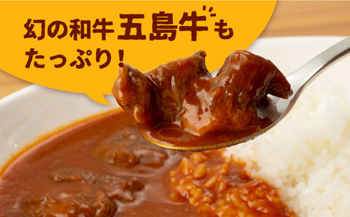 【五島牛と五島産の食材を使用したレトルト商品】こだわりの五島ハヤシ10箱セット【出口さんご】 [PBK018]