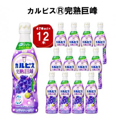 ふるさと納税 館林市 「カルピス(R) 完熟巨峰」プラスチックボトル 470ml×12本