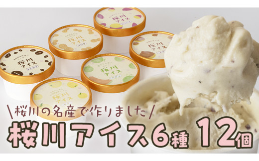 
【生産者支援】桜川アイス 6種 12個 セット 数量限定 食べ比べ 90ml×6種類 桜川市のこだわり素材を使用 アイス あいす デザート スイーツ 産地限定 おやつ カップ フレーバー メロン ゆず 蜜芋 コーヒー 栗 茨城県 [SC041sa]
