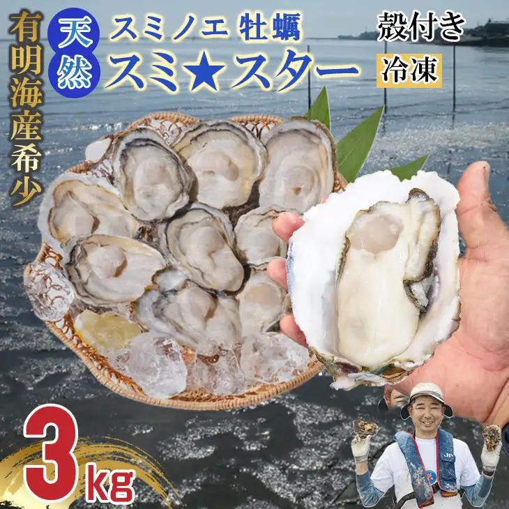【天然】有明海産住之江牡蠣　冷凍スミ☆スター 3kg 牡蠣 冷凍 殻付き B160-013
