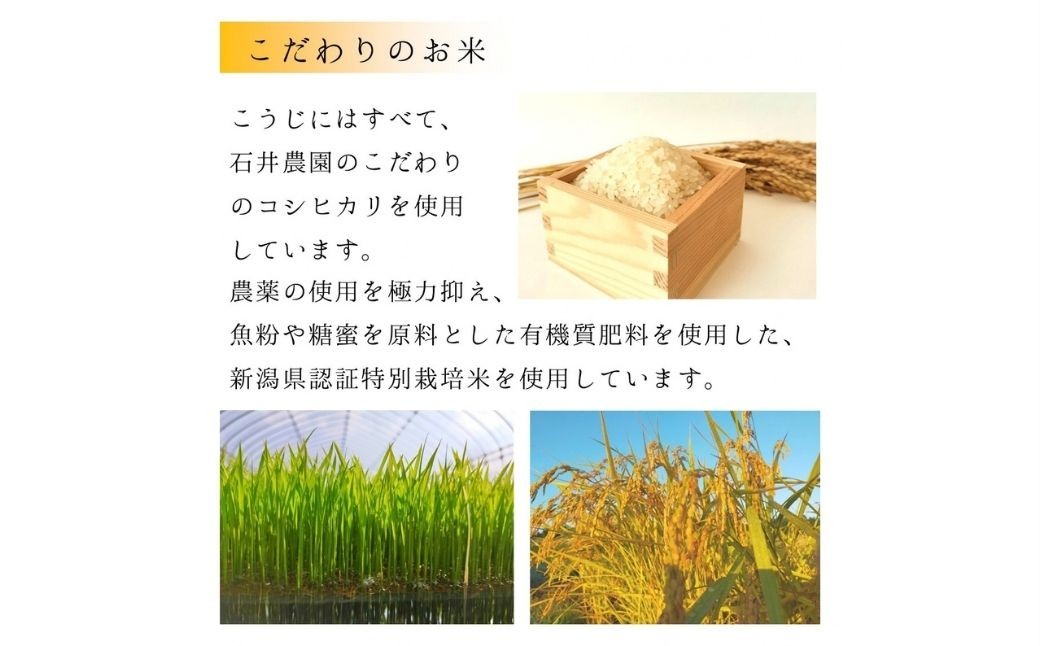 ＜乾燥米こうじ 500g×5袋＞新潟県弥彦村