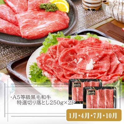 定期便(3ケ月配送)鹿児島県産黒毛和牛・豚肉・一本釣りかつお LL−6038【配送不可地域：離島】【1473524】