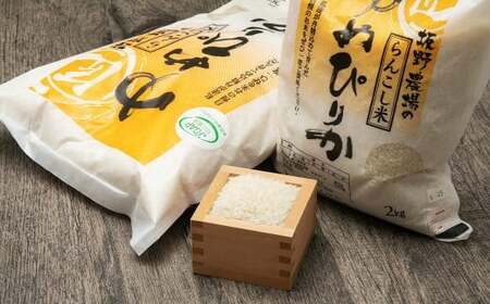 【6ヶ月定期便】らんこし米 ゆめぴりか 5kg【2024年9月下旬発送開始予定】