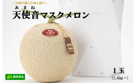 天使音（あまね）マスクメロン （1.4kg以上） １玉 【配送不可：離島】 フルーツ 果物 メロン 静岡県 浜松市 高級