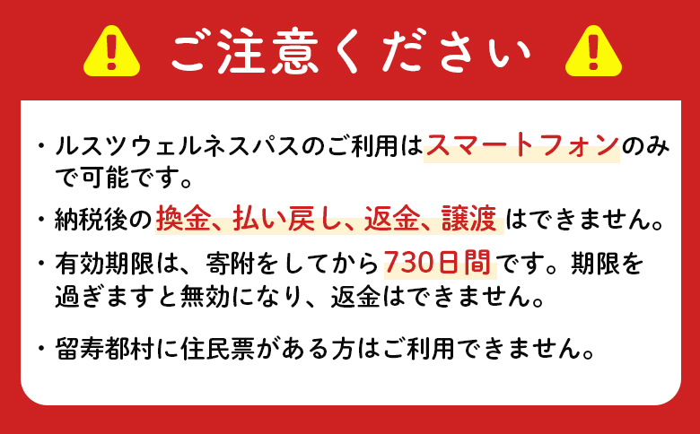【JALの旅先納税】留寿都村e街ギフト ルスツウェルネスパス 600,000円分【99209】