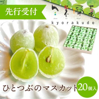 ふるさと納税 三原市 数々のメディアで紹介され大人気のひとつぶのマスカット(20個入)[018-003]