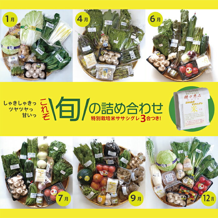 【ふるさと納税】 旬の詰め合わせセット