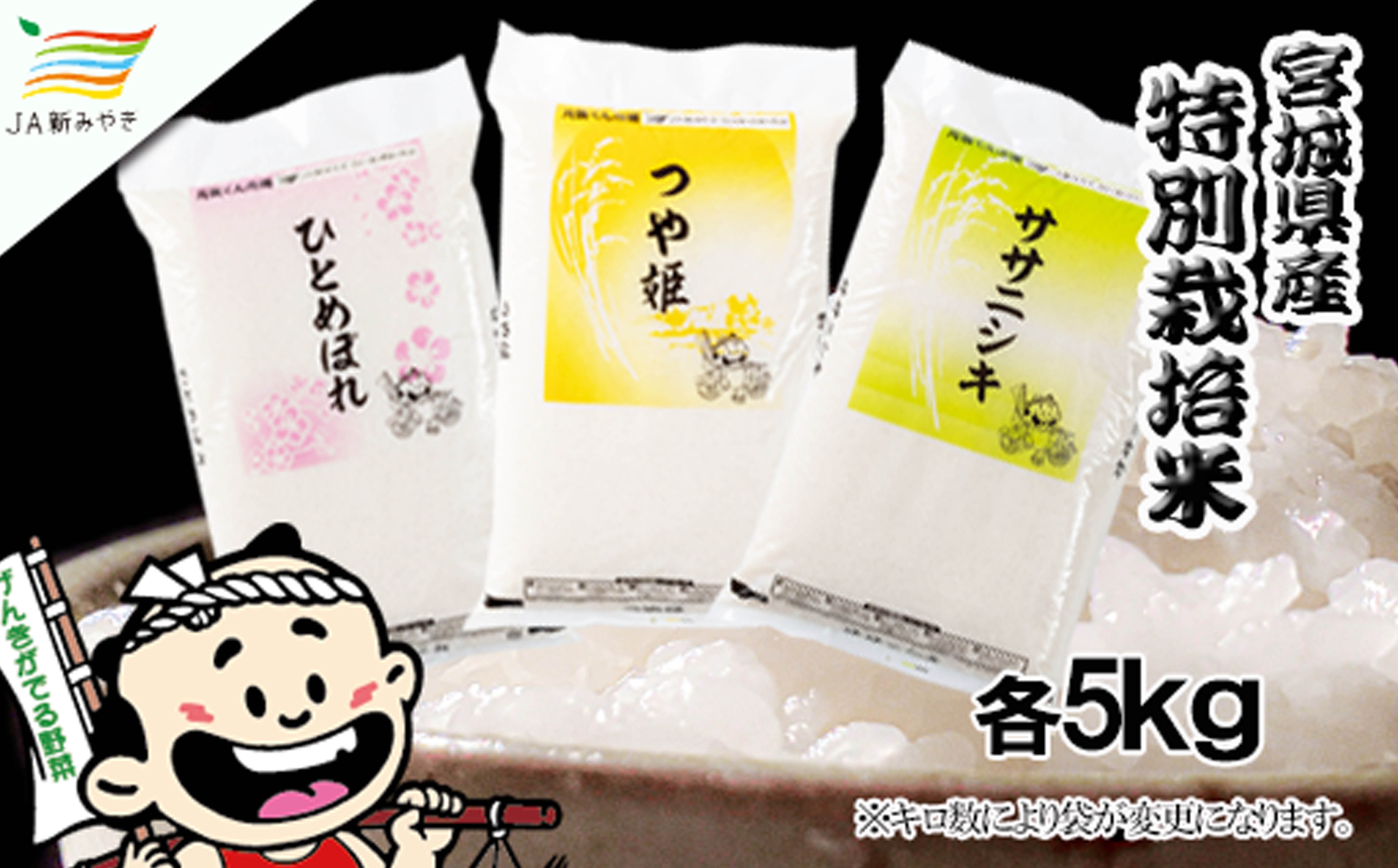 
                  元気くん市場  宮城の美味しいお米贅沢３種食べ比べセット（１） /  精米 小分け 人気 ランキング  お米 米 つや姫【mygs011】
                