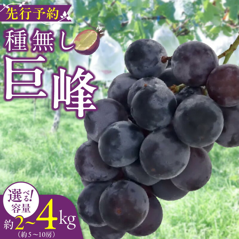 【ふるさと納税】種無し 巨峰 2025年 先行予約 容量 選べる 2kg 3kg 4kg 種なし ぶどう 愛知県 小牧市 送料無料