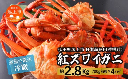 日本海沖産 紅ズワイガニ700g前後×4匹 約2.8kg/冷蔵 冷蔵 ズワイガニ 4匹 約 2.8kg 紅ズワイガニ ベニズワイガニ ずわい ズワイ蟹 ずわいがに ずわい蟹 姿 ボイル 訳あり 蟹 カニ かに 国産 蟹 カニみそ入り 潟上市 【安田水産】