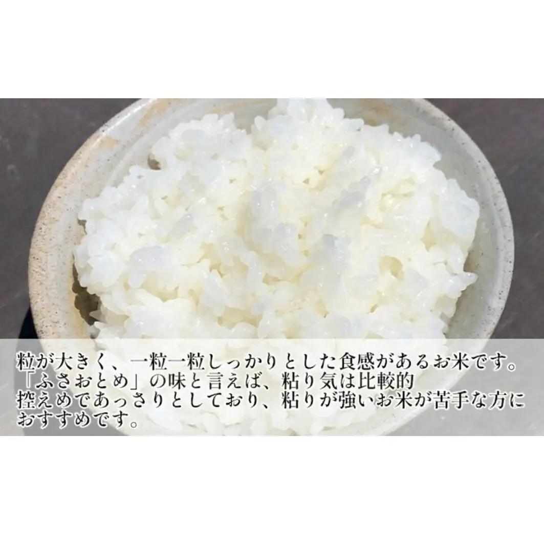 米・海苔セット ふさおとめ無洗米 味のりゆず・わさび 米・海苔セット【ふさおとめ2kg】