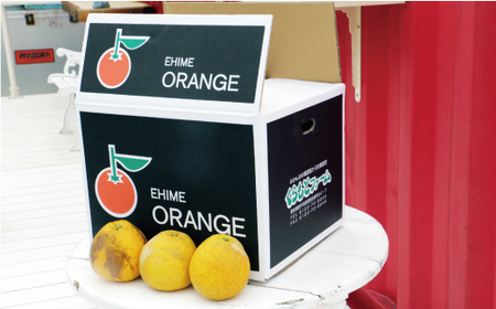 先行予約 河内晩柑 9kg （ Lサイズ 以上 ） 