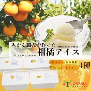 アイス 柑橘 夢オレンジ 河内晩柑 愛媛みかん しらぬい 1000ml 4種 みかん ギフト アイス 詰め合わせ アイス みかん 有名 みかん職人 武田屋 お取り寄せ アイス みかん 贈り物 みかん 