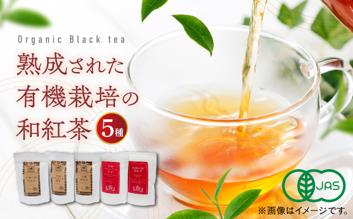 
                  紅茶 宝箱の有機和紅茶 島根県松江市/有限会社宝箱 [ALBI004]｜お茶 紅茶 茶葉 お茶葉 松江 お茶処 ティータイム 有機 有機紅茶 島根 松江 おすすめ ティータイム アフタヌーンティー 水だし ホットドリンク ソフトドリンク ドリンク 飲み物 飲料 特産品 日本茶 人気 ギフト プレゼント 贈り物 カテキン カフェイン 水だし 茶畑 茶ばたけ ティー
                