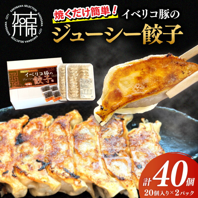 【ふるさと納税】【レビューキャンペーン】大西食品「イベリコ豚のジューシー餃子」