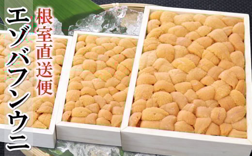 
            E-53005  エゾバフンウニバラ詰め250g×3折[2025年3月上旬以降順次発送]
          