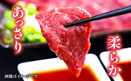 赤身 馬刺し 約200g  専用 醤油付き 150ml×1本 馬刺し [AYCP035]