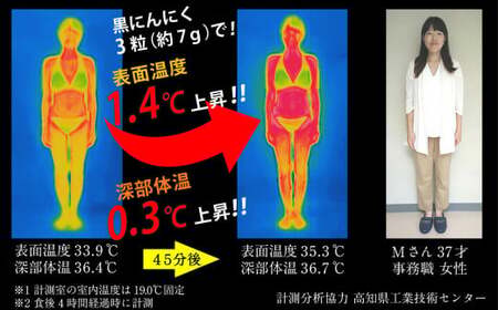 【 黒にんにく 】 黒にんにくペースト400g