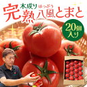 【ふるさと納税】 木成り完熟八風とまと（20個入） トマト とまと 野菜 料理 楽天 返礼品 寄付 お歳暮 お祝い 贈り物 故郷納税 滋賀県 近江 東近江 A07 株式会社八風ファーム