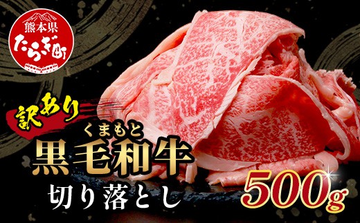 8月発送【訳あり】くまもと黒毛和牛 切り落とし 500g 本場 熊本県 黒毛 和牛 ブランド 牛 肉 上質 くまもと 訳アリ 113-0501-08