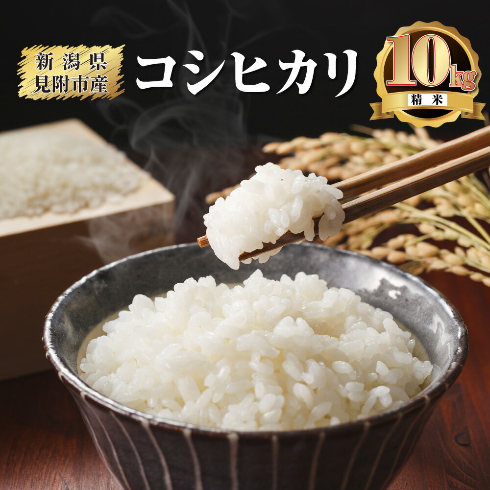 【ふるさと納税】 米 10kg 令和7年産 こしひかり 精米　せいまい 米 こめ コメ 新潟県 産 おすすめ オススメ 内山忠太郎