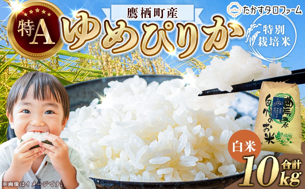 
                  【ふるさとチョイス限定】【令和7年産】 ゆめぴりか （ 白米 ） 10kg 北海道 鷹栖町 たかすタロファーム 米 コメ こめ ご飯 お米
                