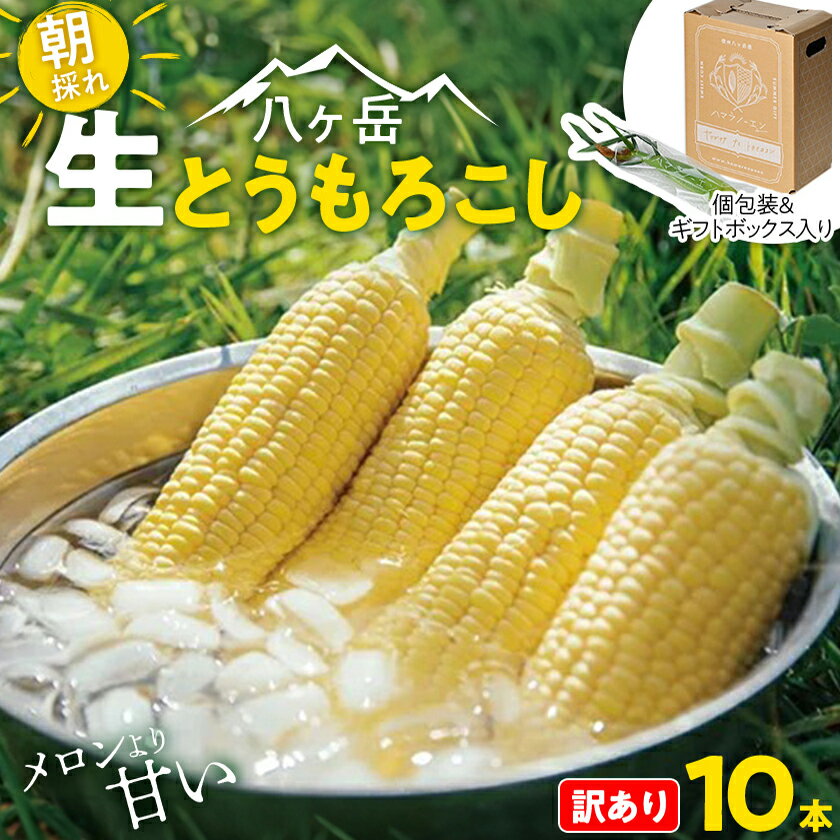 【ふるさと納税】【訳あり】朝採れ 八ヶ岳生とうもろこし はねだし10本(約3kg)〈26年7月～9月下旬発送予定〉【配送不可地域：離島】【1678265】