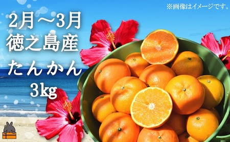 《限定受付》フルーツアイランド徳之島 季節のフルーツ定期便 ( 3回お届け 完熟マンゴー マンゴー パッションフルーツ たんかん 柑橘 果物 徳之島 奄美 鹿児島 定期便 世界自然遺産 旬 )