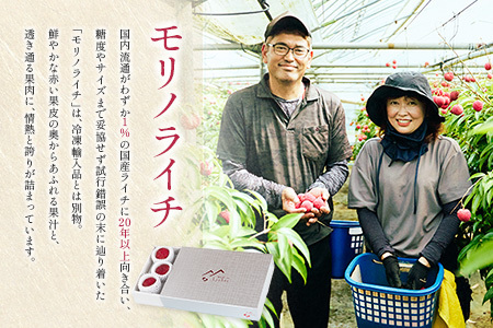 ライチ 4/20～4/28 期間内出荷 モリノライチ 果物 フルーツ S30