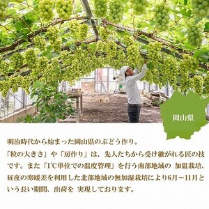【2025年8月発送】岡山県産　シャインマスカット　晴王　600g×2房【配送不可地域：離島・北海道・沖縄県】【1366036】