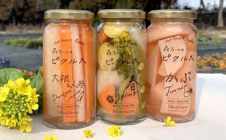 BI89_【無添加】季節の森ファームのピクルス 6個セット ※着日指定不可