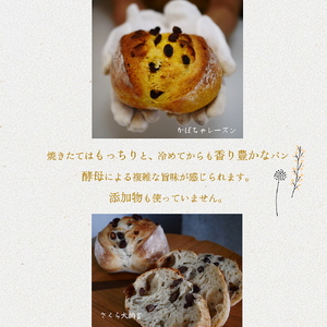 ＜自家製天然酵母の薪窯パン ふくくる＞おまかせ パンセット《ベーグル 自家製酵母 天然酵母 詰め合わせ パン 30種類 約10個》 ※2024年9月上旬～2025年7月下旬頃に順次発送 